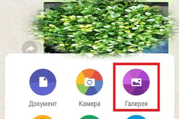 Кракен марке даркнет