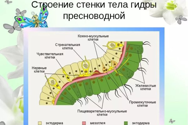 Кракен шоп зеркало