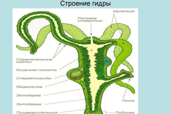 Кракен современный даркнет